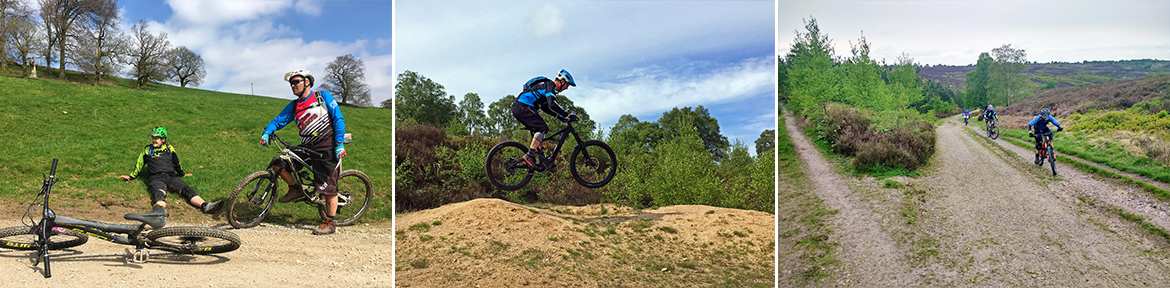 ebikes 3.jpg